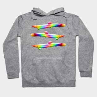 Rainbow loaches Hoodie